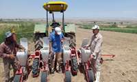 اجرای طرح مقایسه ای pvs پنبه  در شهرستان مانه